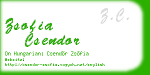 zsofia csendor business card
